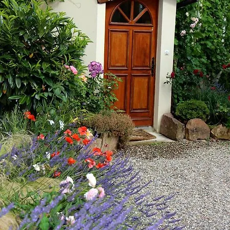 Villa Les 3 Ceps Bergholtz Exterior foto